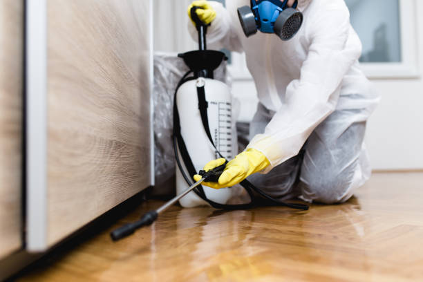 Best Best Pest Control Companies  in Elkton, VA