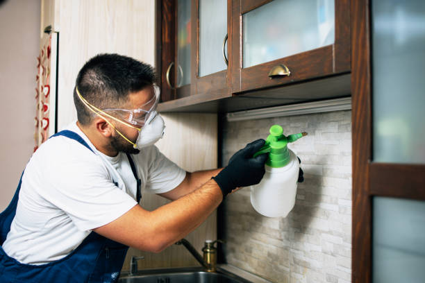Best Wildlife Control Services  in Elkton, VA