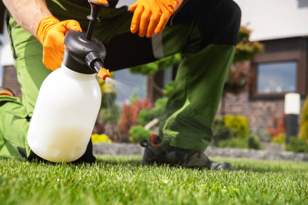 Best Residential Pest Control  in Elkton, VA