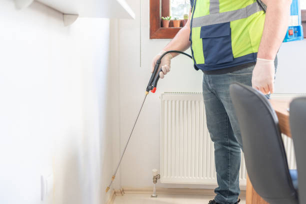 Professional Pest Control in Elkton, VA