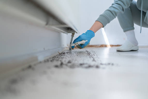 Best Affordable Exterminators  in Elkton, VA