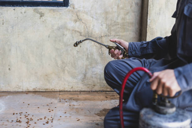 Best Emergency Pest Control  in Elkton, VA