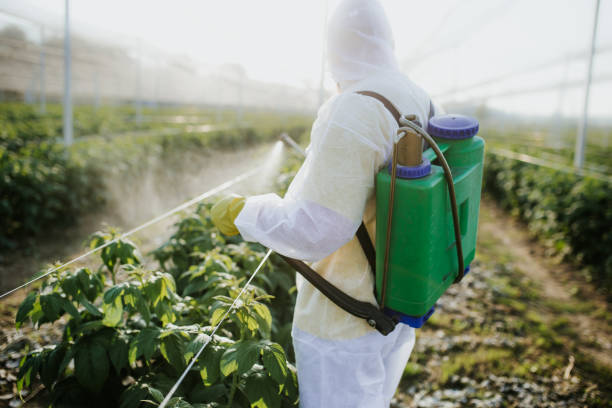Best Pest Prevention Services  in Elkton, VA